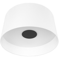 10360L White Потолочный светильник LOFT IT Duo 10360L White Потолочный светильник LOFT IT Duo