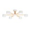 Потолочная люстра Arte Lamp TENDA A1624PL-6WH