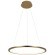 10014M Подвесной светильник LOFT IT Ring