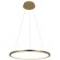10014M Подвесной светильник LOFT IT Ring