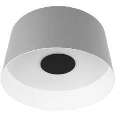 10360M Grey Потолочный светильник LOFT IT Duo 10360M Grey Потолочный светильник LOFT IT Duo