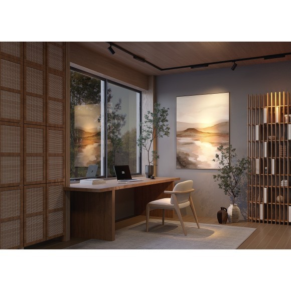 Трековый светильник Technical TR195-3-10W2.7K-M-B