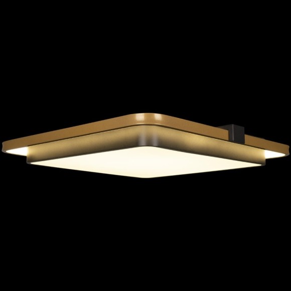 10172 Потолочный светильник LOFT IT Mike