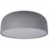 10201/480 Grey Потолочный светильник LOFT IT Axel