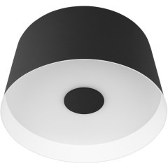 10360S Black Потолочный светильник LOFT IT Duo