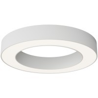 Потолочный светильник Technical C093CL-36W4K-W