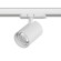 Светильник для трековой системы Quattro LED 30W 15G с адаптером Alta Base Lightstar A5336QT15G Светильник для трековой системы Quattro LED 30W 15G с адаптером Alta Base Lightstar A5336QT15G