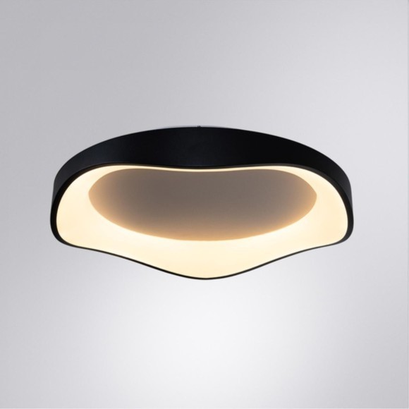 Потолочный светильник Arte Lamp ANKAA A3085PL-56BK