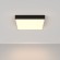 Настенно-потолочный светильник Maytoni C067CL-L48B3K Zon светодиодный LED 45W