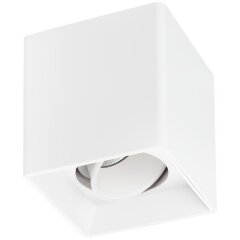 Светильник точечный накладной декоративный под заменяемые галогенные или LED лампы Rettango Lightstar 052066 Светильник точечный накладной декоративный под заменяемые галогенные или LED лампы Rettango Lightstar 052066