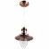Подвесной светильник Arte Lamp FISHERMAN A5518SP-1RB
