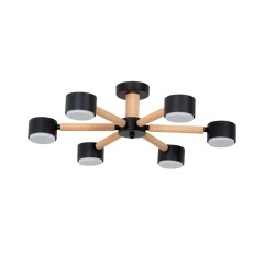 Потолочная люстра Arte Lamp TENDA A1624PL-6BK