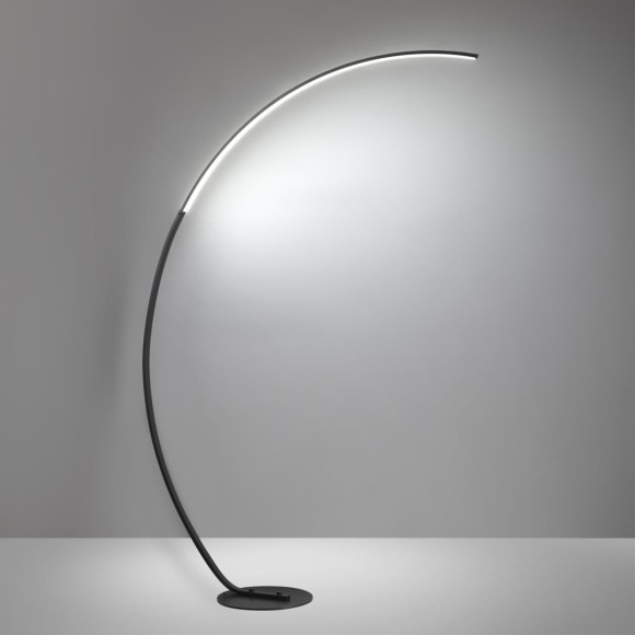 Торшер черный LED 21W 820Лм 3000-6000K с пультом ДУ WES Lumion 5676/21FL Торшер черный LED 21W 820Лм 3000-6000K с пультом ДУ WES Lumion 5676/21FL