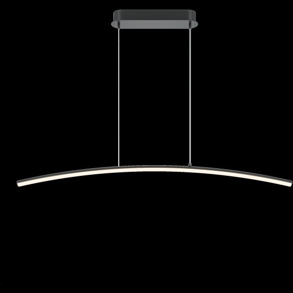 Подвесной светильник Maytoni MOD243PL-L18BK