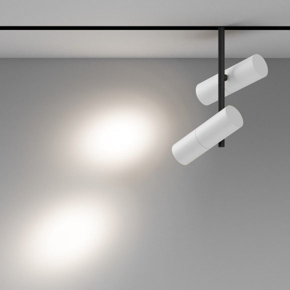 TR005-2-2X12W4K-BW Трековый магнитный светодиодный светильник Maytoni Exility CRI90+ 4000К 2072Лм 36° 24Вт TR005-2-2X12W4K-BW Трековый магнитный светодиодный светильник Maytoni Exility CRI90+ 4000К 2072Лм 36° 24Вт