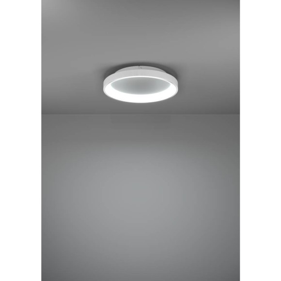 901249 Светод потолочн свет-к LORETELLO, 12W(LED), Ø350, пластик, сталь, белый, 2700-6500K, 1440lm 901249 Светод потолочн свет-к LORETELLO, 12W(LED), Ø350, пластик, сталь, белый, 2700-6500K, 1440lm