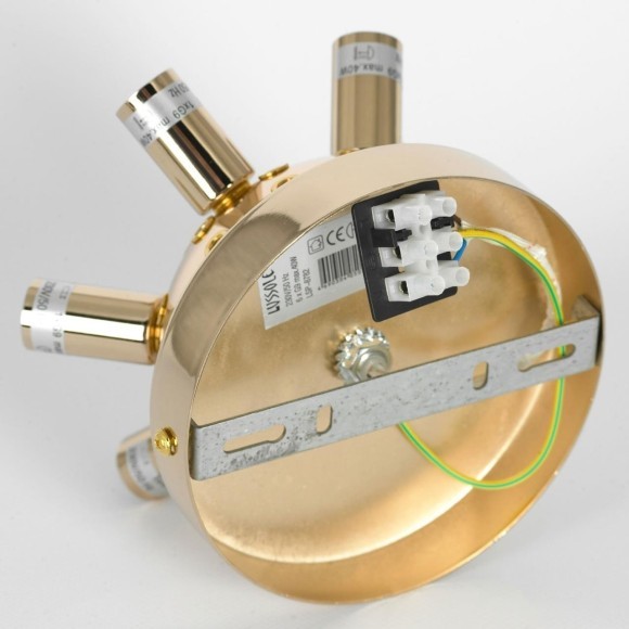 Люстра потолочная Lussole LSP-8782 Люстра потолочная Lussole LSP-8782