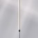 Светильник подвесной Undine Lightstar 738617