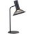 4623-1T, настольный светильник, L240xW180xH420, 1xLEDx6W, 660LM, 3000K, included