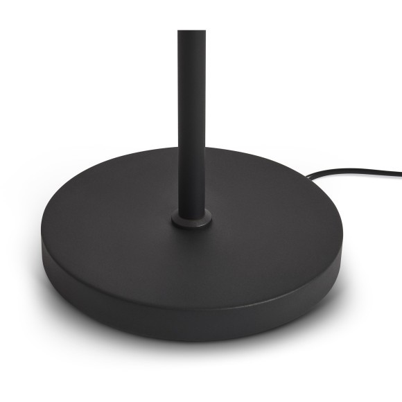 Напольный светильник (торшер) Freya FR5553FL-L20B