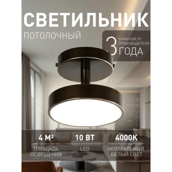 Потолочный светильник Atma 3060-1P