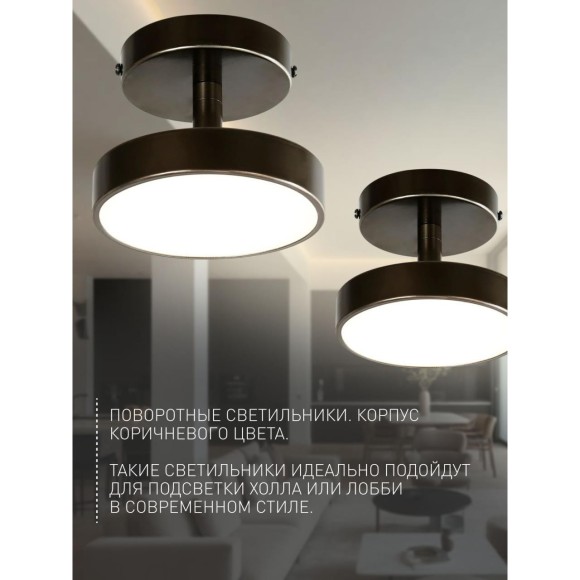 Потолочный светильник Atma 3060-1P