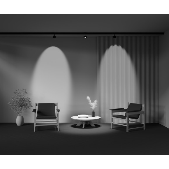 TR217-4-15WTW-DD-B Трековый магнитный SMART (App, DALI, Алиса) светодиодный светильник Maytoni Exility CRI90+ 2700-6000К 770Лм 70° 15Вт