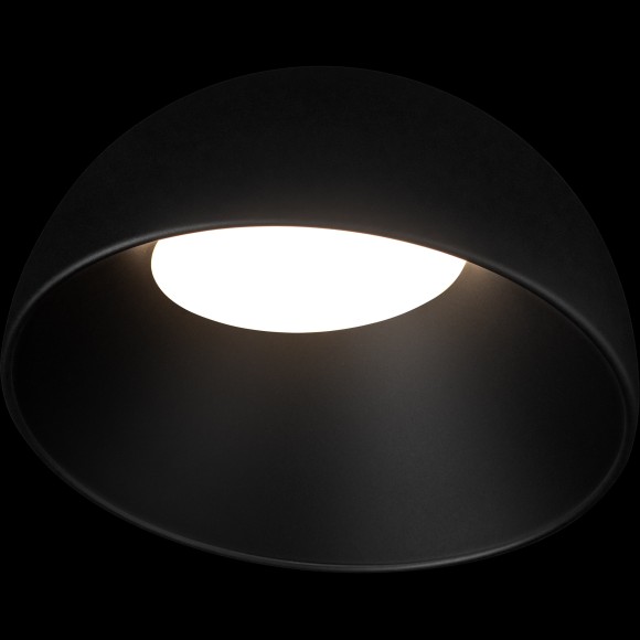 10197/350 BB  Потолочный светильник  LOFT IT Egg