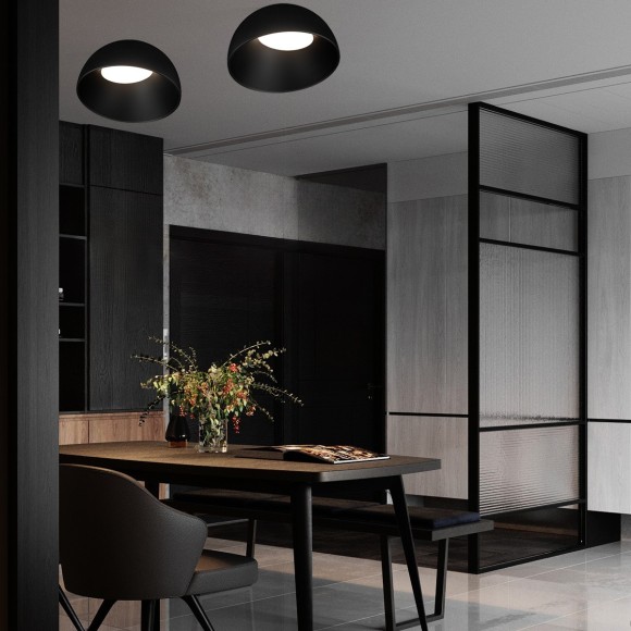 10197/350 BB  Потолочный светильник  LOFT IT Egg