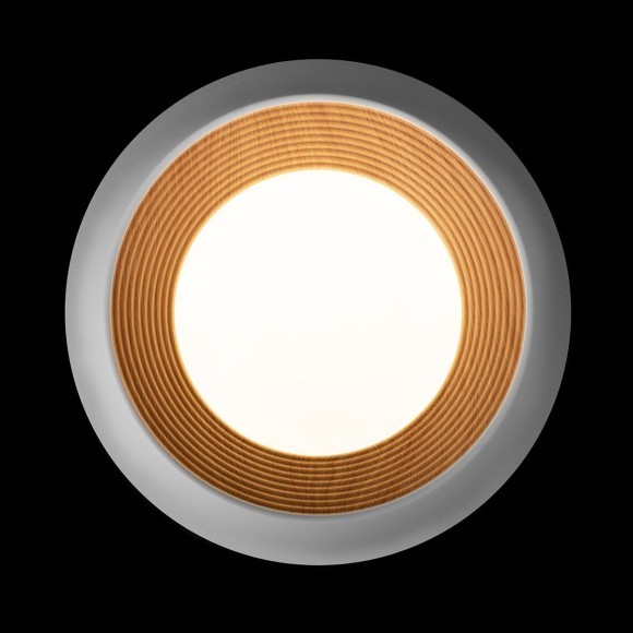 10255/350 White Потолочный светильник LOFT IT Folk 10255/350 White Потолочный светильник LOFT IT Folk