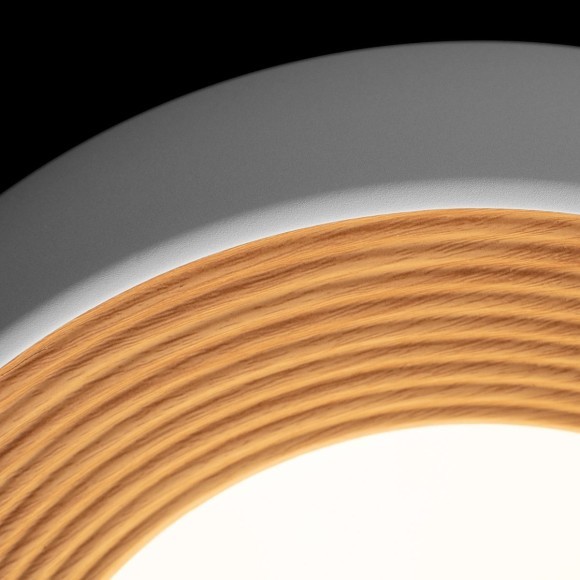 10255/350 White Потолочный светильник LOFT IT Folk 10255/350 White Потолочный светильник LOFT IT Folk