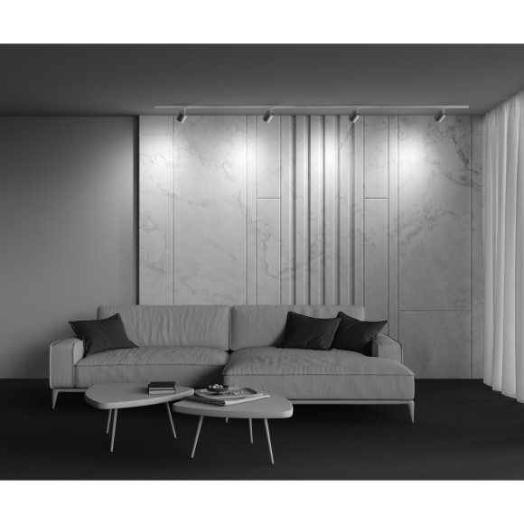 Однофазный двужильный трековый светильник Maytoni Unity TR088-1-GX53-S POLAR под сменную лампу GX53 Однофазный двужильный трековый светильник Maytoni Unity TR088-1-GX53-S POLAR под сменную лампу GX53