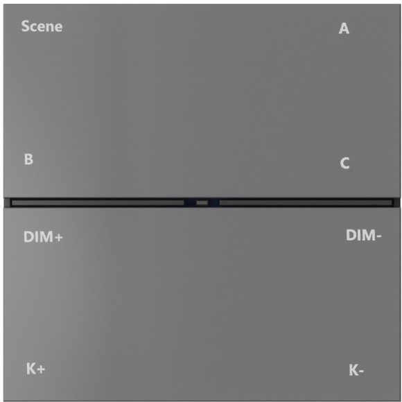 Настенная беспроводная панель для упр. Smart светильниками Denkirs AIR DK7201-DG