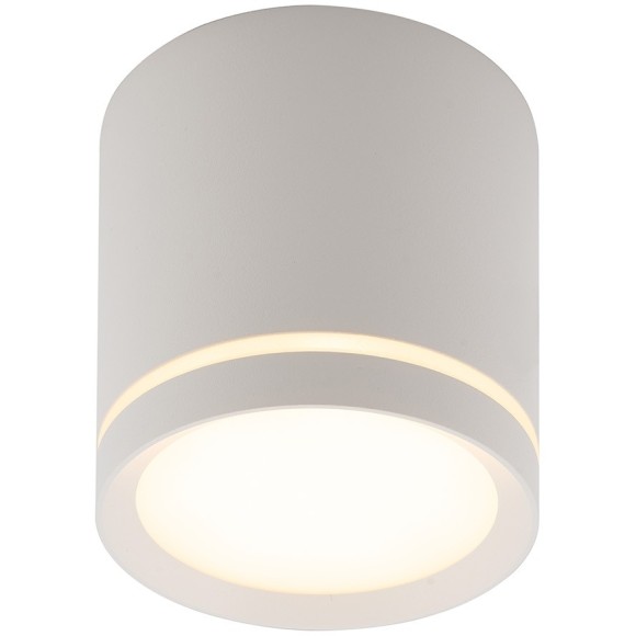 DK4016-WH Светильник накладной IP 20, 5 Вт, LED 3000, белый, алюминий/акрил