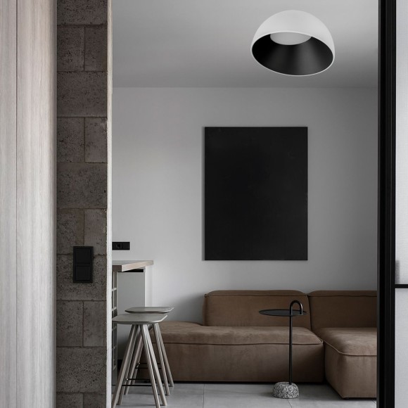 10197/350 WB  Потолочный светильник  LOFT IT Egg