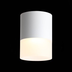 Светильник точечный ST-Luce Ottu ST100.502.15