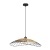 Подвесной светильник Arte Lamp WOODSTOCK A7061SP-1BK