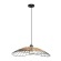 Подвесной светильник Arte Lamp WOODSTOCK A7061SP-1BK