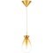 Подвес Colore Lightstar 805113