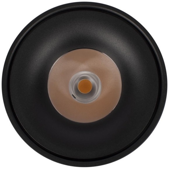 10219 Black 3000K Потолочный светильник LOFT IT Tictac