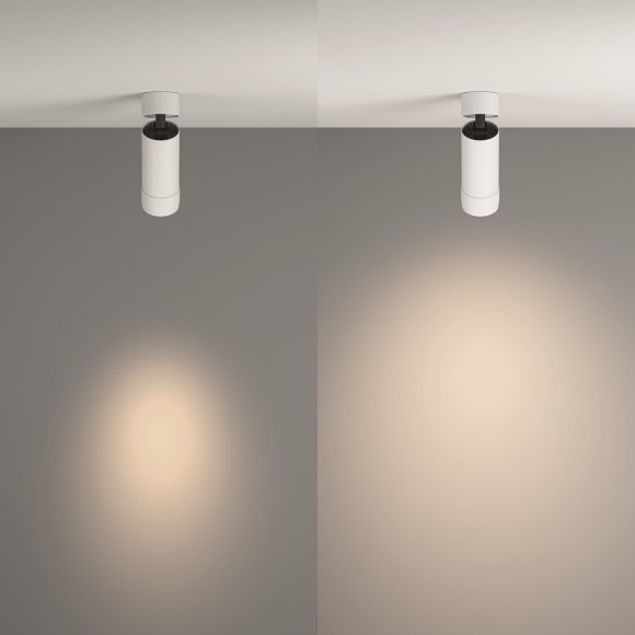 Потолочный светильник Technical C055CL-L12W4K-Z-W Потолочный светильник Technical C055CL-L12W4K-Z-W