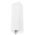 Накладной потолочный светильник Lightstar 216596 RULLO под лампу 1xGU10 50W