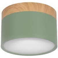 10162 Green Накладной светильник LOFT IT Grape