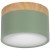 10162 Green Накладной светильник LOFT IT Grape