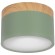 10162 Green Накладной светильник LOFT IT Grape