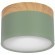 10162 Green Накладной светильник LOFT IT Grape