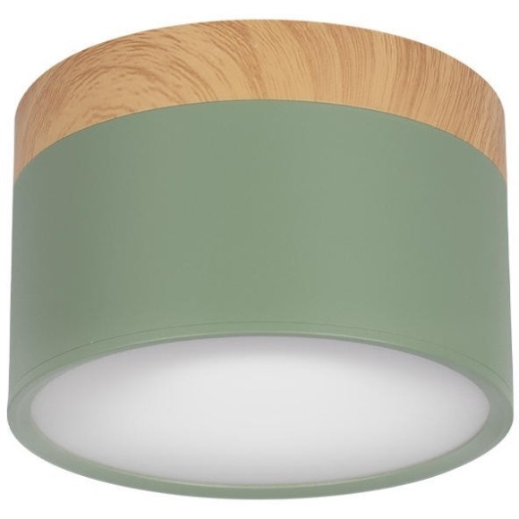 10162 Green Накладной светильник LOFT IT Grape
