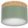 10162 Green Накладной светильник LOFT IT Grape