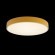 10002/24 Yellow Потолочный светильник LOFT IT Axel