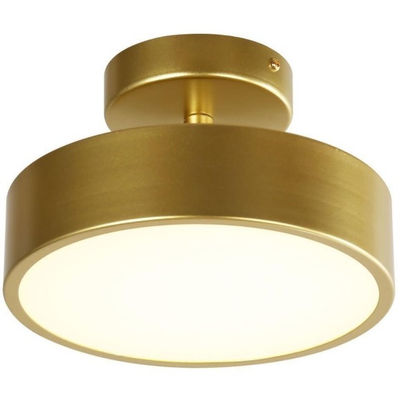 Накладной потолочный светильник Favourite 3059-2P Atma светодиодный LED 18W